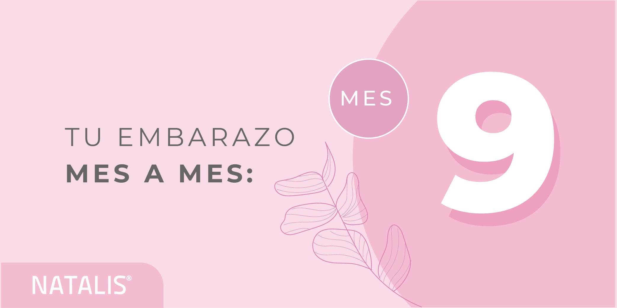 Esto es lo que puedes esperar en tu noveno mes de embarazo