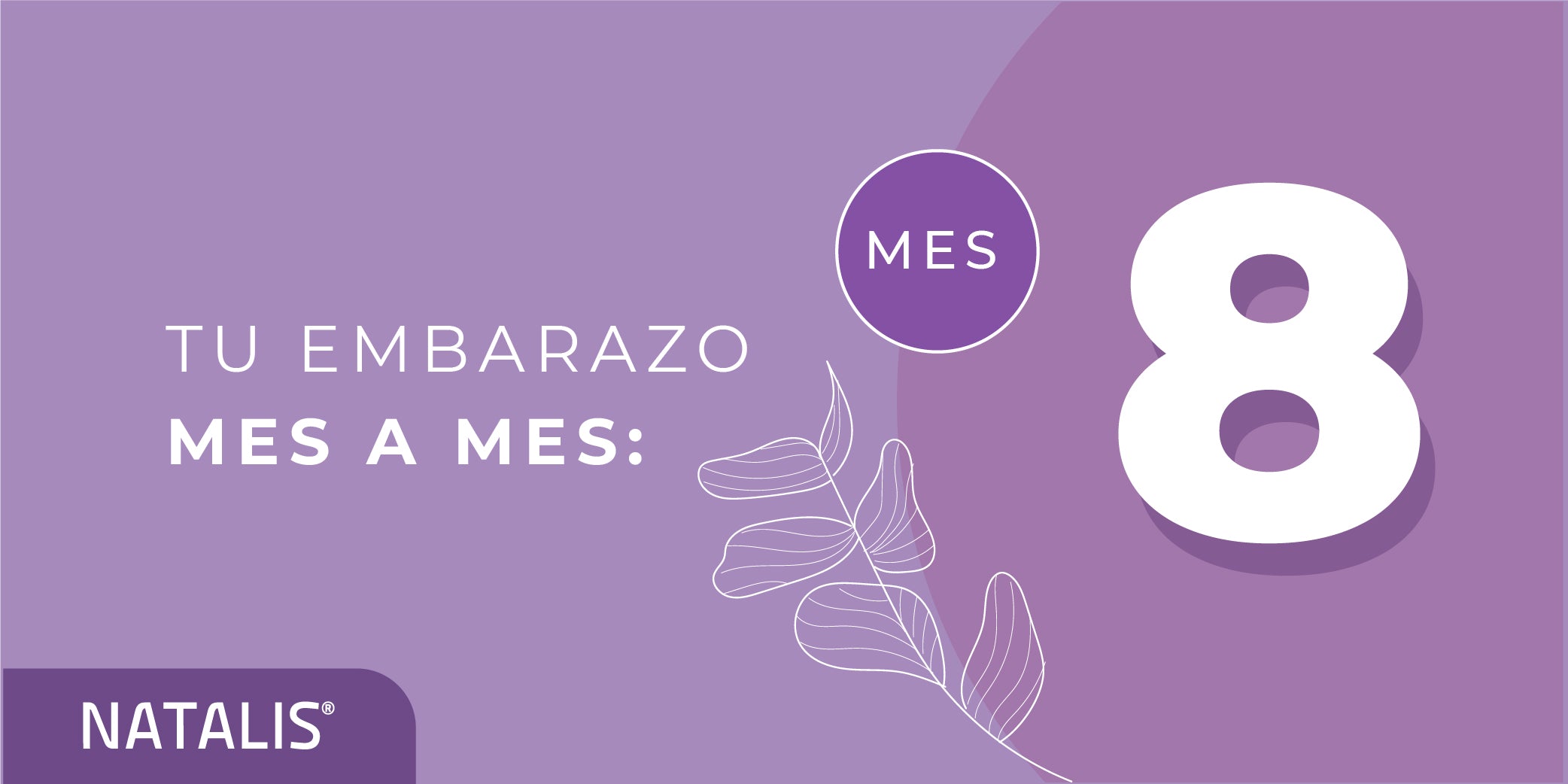 Esto es lo que puedes esperar en tu octavo mes de embarazo