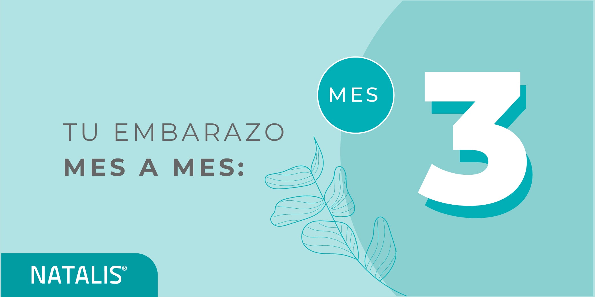El tercer mes de embarazo: síntomas y desarrollo del bebé