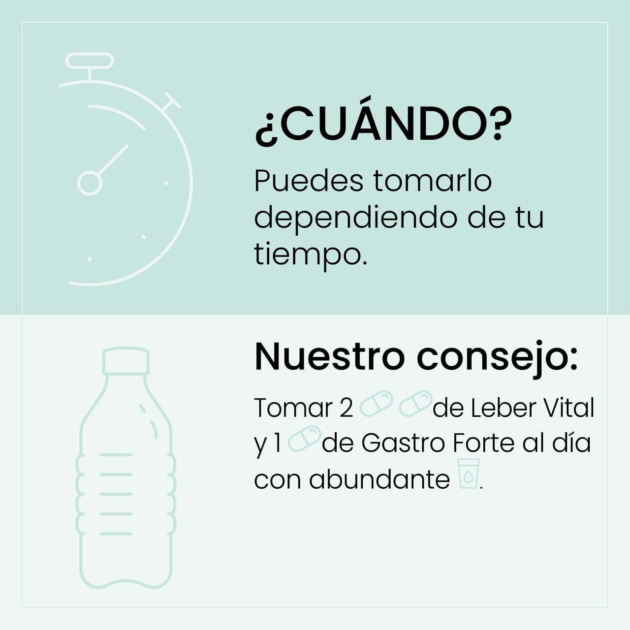 Pack Flora Detox