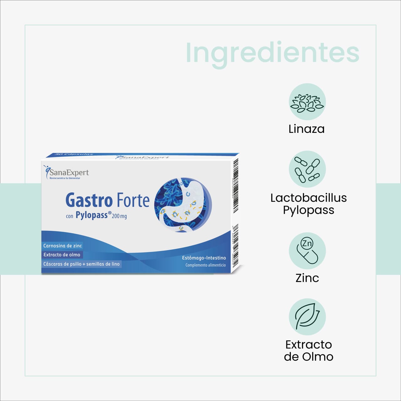 Pack Flora Detox