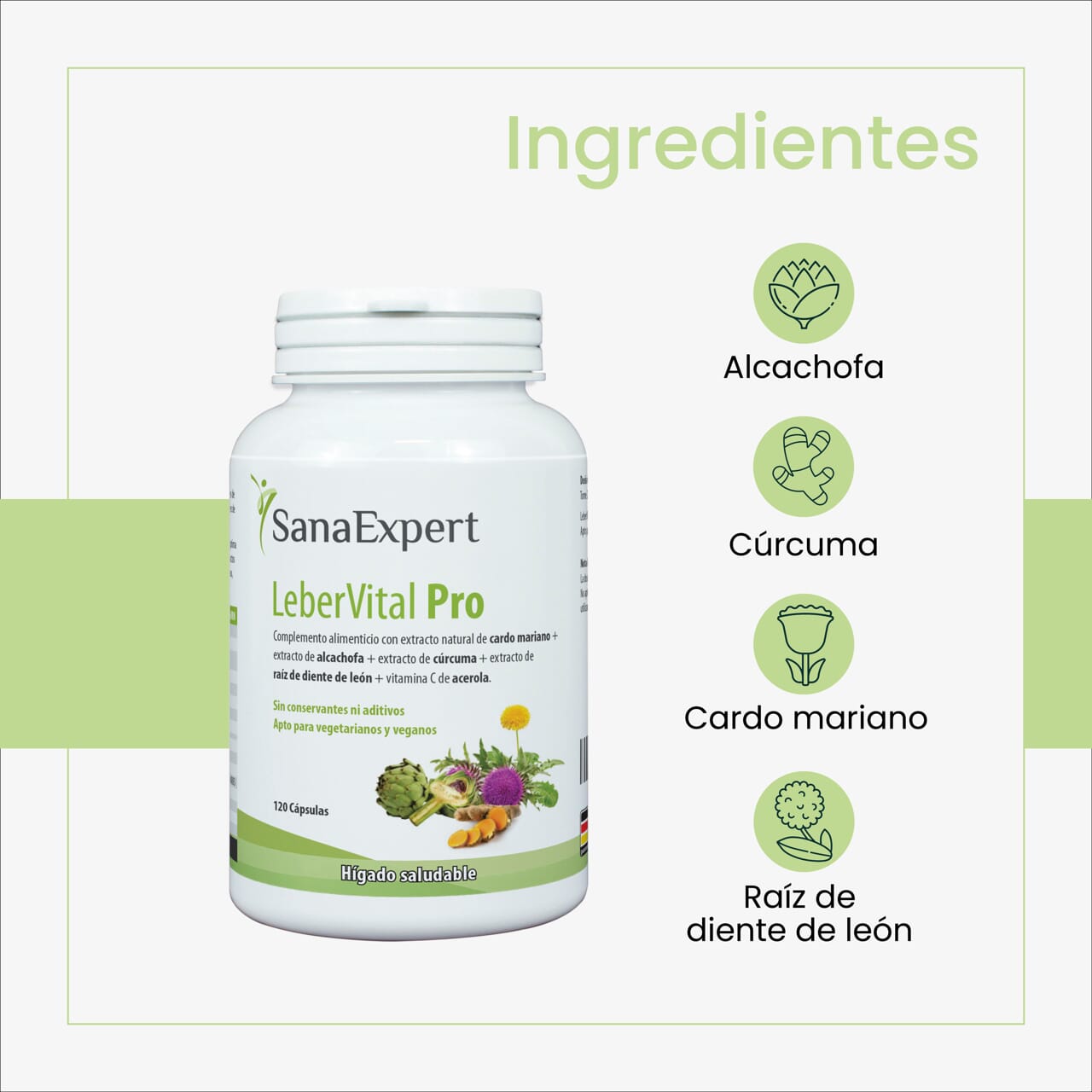 Pack Flora Detox