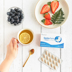 SanaExpert Gastro Forte - SanaExpert ES