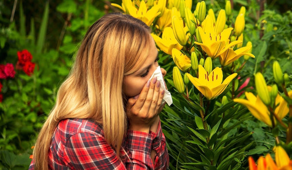 Alergias Primaverales: Comprender las Alergias Estacionales y Cómo Manejarlas Naturalmente