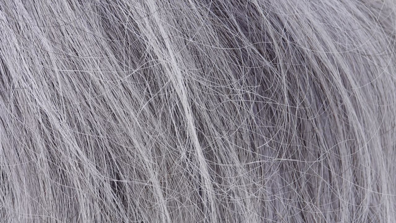 como-evitar-canas
