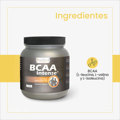 SanaExpert BCAA Intense